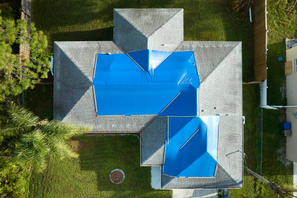 Best Roof Maintenance and Cleaning  in Lakeside, FL